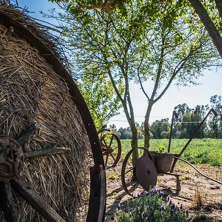 Il Fontanile Farm stay *