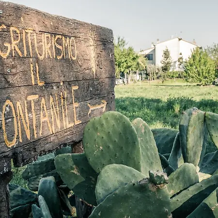Il Fontanile Gospodarstwo agroturystyczne
