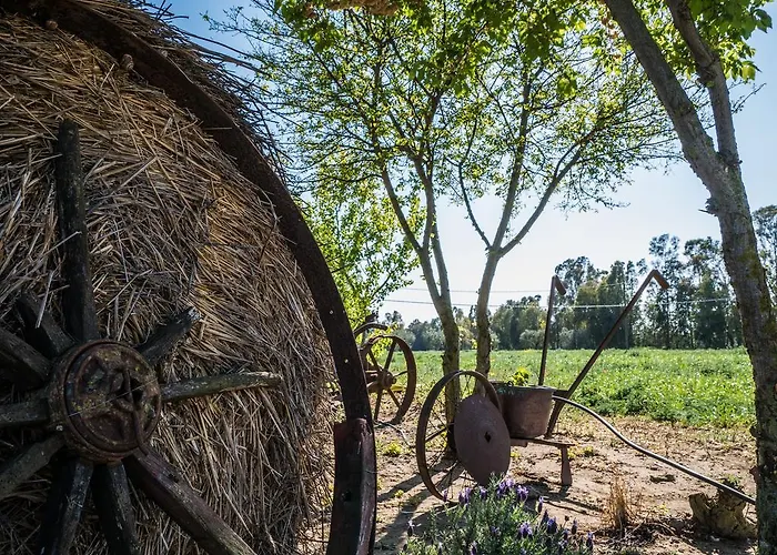 Il Fontanile Agroturismo *