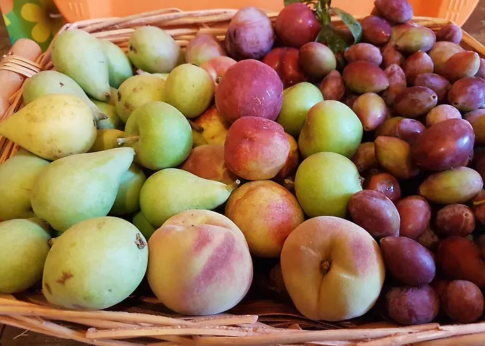 Agroturismo Il Fontanile Marina di Grosseto